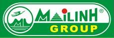 Mai Linh Joint Stock Company